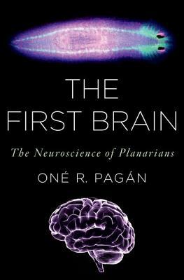The first brain –&nbsp;Pagán